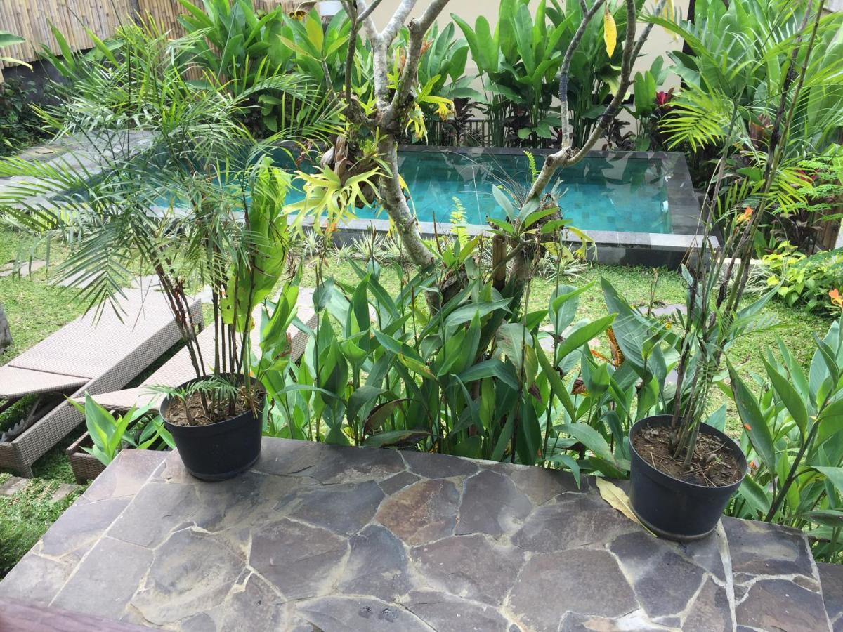 Hidden Point Villa อูบุด ภายนอก รูปภาพ